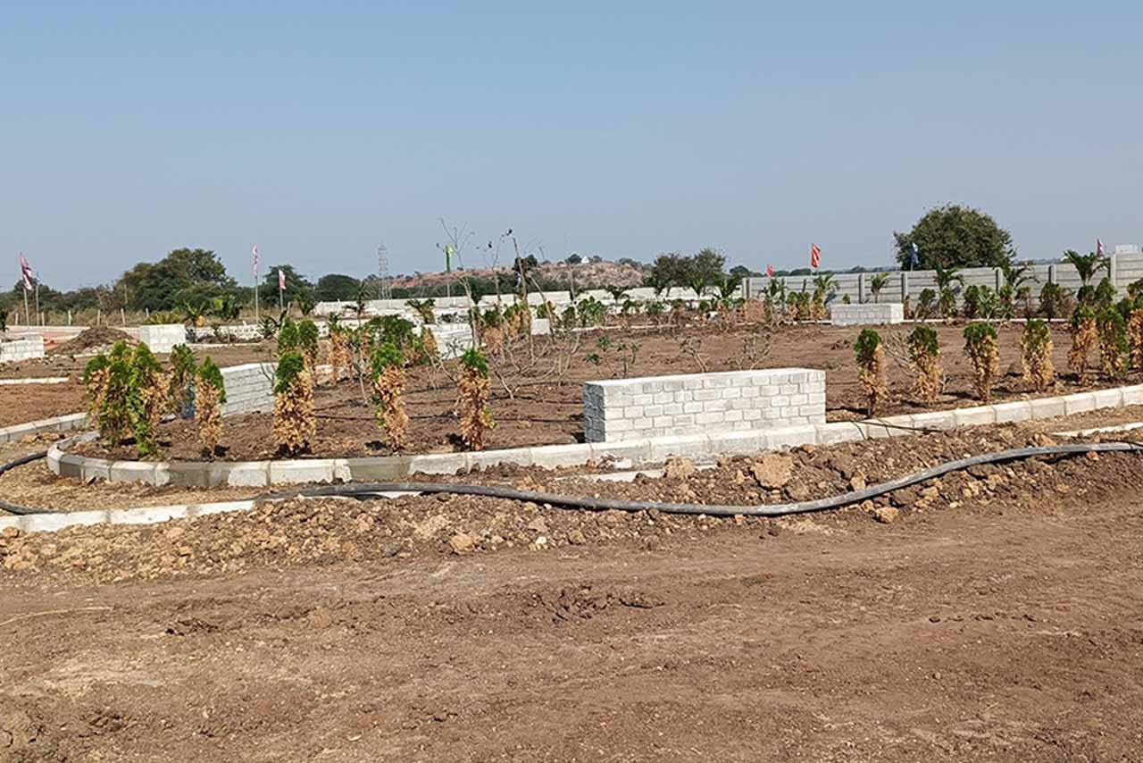 Live-Developments_Crescent-Pride_241222_18